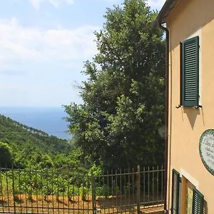 I Lecci Di Soviore Casa de hóspedes Monterosso al Mare